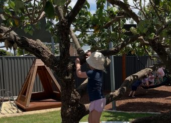 Smart Tots Capalaba